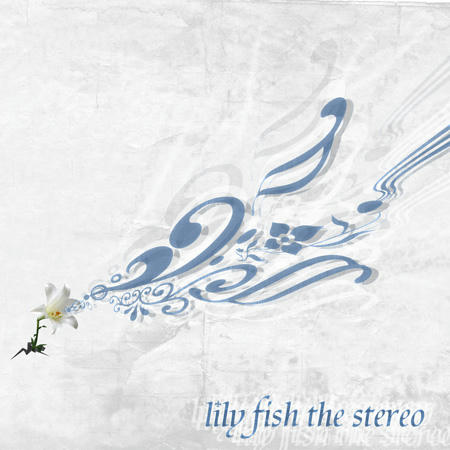 lily fish the stereo